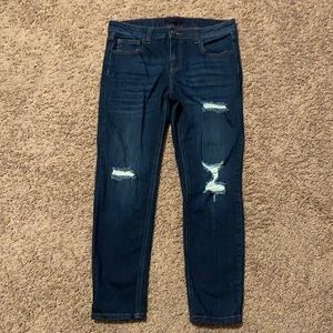 Women’s Cello Distressed Jeans, Stretch Denim Size 7